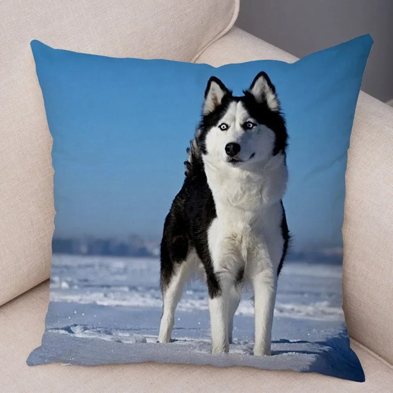 Axyaa Siberian Husky Pet Sofa Cushion Cover - Cute Dog Print Pillowcase Decor