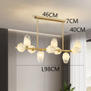 Axyaa Modern Ceiling Chandelier for Dining Room and Living Room Lighting