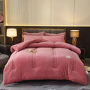 Axyaa Double-Sided Milk Wool Lamb Wool Warm Thick Winter Quilt Core