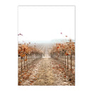 Axyaa Wine Vineyard Wall Art Canvas Print - Nordic Living Room Decor