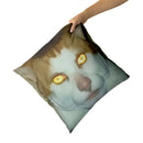 Axyaa Monday Left Me Broken Cat Mr. Peebles Throw Pillow Cover Square 45cm x 45cm