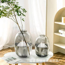 Axyaa Glass Hydroponic Vase Small Mouth Decorative Dried Flower Arrangement Craft
