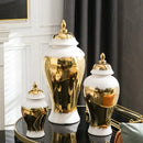 Axyaa European Light Luxury Ceramic Vase for Living Room or Hotel Soft Decor