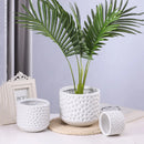 Axyaa Gold Ceramic Succulent Flowerpot Vase Balcony Decor Plant Pots