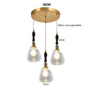 Axyaa Wood LED Pendant Lamp for Bedroom Dinning Living Room