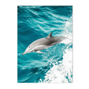 Dolphin Whale Starfish Sea Life Canvas Painting Set by Axyaa