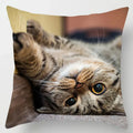 Axyaa Cute Cat Hug Pillowcase Interactive Cushion for Home Sofa Decor