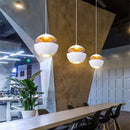 Axyaa Apple Pendant Lamp: Simple European Art LED Lighting for Home & Cafe