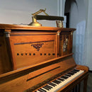 Axyaa Adjustable LED Piano Lamp with Dimmer in Satin Nickel
