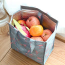 Axyaa Insulated Cooler Bag for Food & Drinks, Portable for Picnics, Camping, Leakproof