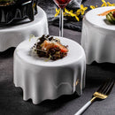 Axyaa Irregular Ceramic Dinner Plate Set for Sushi Pasta Desserts.