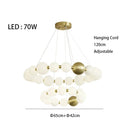 49338586366231|49338586661143