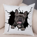 Axyaa Cute Dog Print Pillow Case for Home Decor and Comfort
