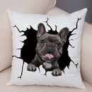 Axyaa Cute Dog Print Pillow Case for Home Decor and Comfort