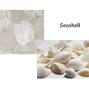 Axyaa Coastal Shell Chandelier E27 Natural Shell Lamp for Modern Loft Decor