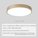 Axyaa LED Ceiling Light: Modern, Creative, Minimalist, Circular Design for Home Decor