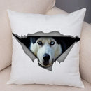 Axyaa Cute Dog Print Pillow Case for Home Decor and Comfort