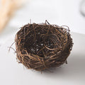 Axyaa Ceramic Eggshell Bowl Set - Creative Kitchenware for Salad, Dessert, and Ice Cream