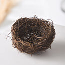 Axyaa Ceramic Eggshell Bowl Set - Creative Kitchenware for Salad, Dessert, and Ice Cream