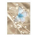 Axyaa Chrysanthemum Butterfly Canvas Print - Nordic Beach Wall Art Poster