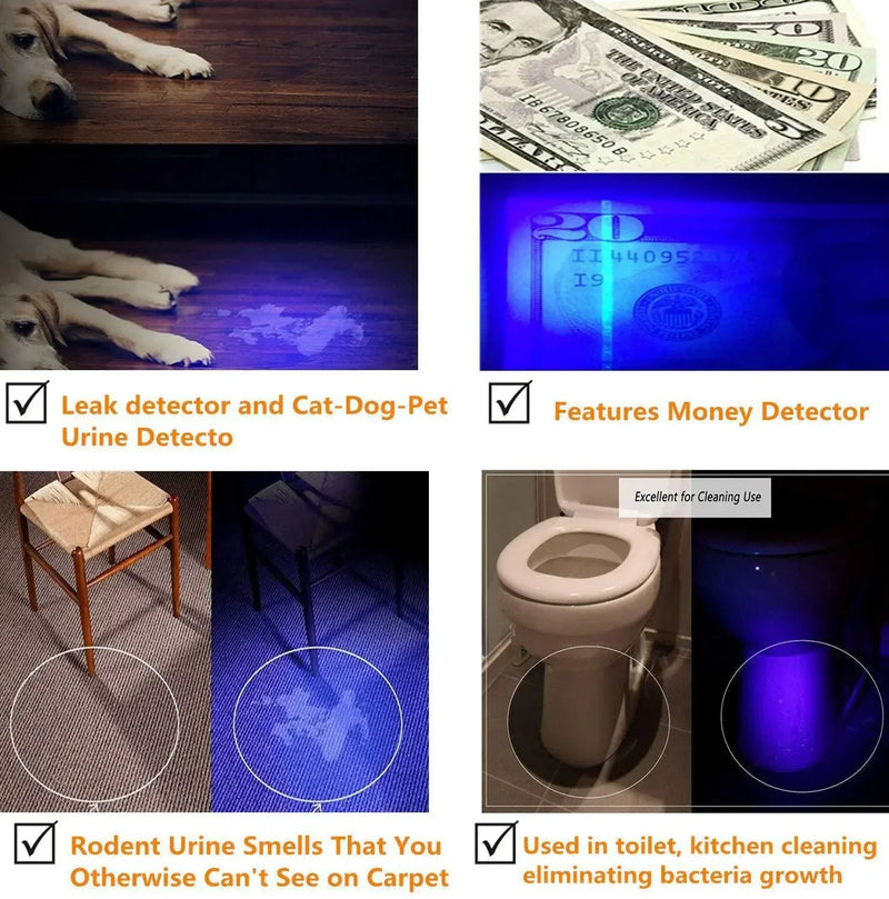 Axya UV Flashlight: 395-400nm Black Light Zoomable Torch for Pet Urine Stains Detection