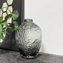Axyaa Frosted Glass Vase - Elegant Decor for Living Room with Transparent Design