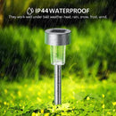 Axyaa Solar Pathway Light: Waterproof Outdoor Garden Lantern for Lawn, Patio, Walkway