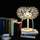 Axyaa LED Chandelier for Modern Luxury Home Decor