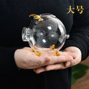 Axyaa Glass Piggy Bank for Gold Beans Storage - Mini Wish Bottle