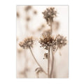 Axyaa Beach Shell Landscape Canvas Art Print for Nordic Living Room Decor