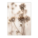 Axyaa Beach Shell Landscape Canvas Art Print for Nordic Living Room Decor
