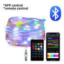 Axyaa RGBIC Dreamcolor LED Fairy Lights USB 5V