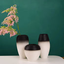 Axyaa Modern Ceramic Vases for Creative Handicrafts and Living Room Decor
