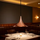 Axyaa Minimalist UFO Pendant Light Swing Arm Lamp