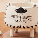 Axyaa Cat Meow Mug: Cute Ceramic Coffee Cup for Women, Girls - 4 Legs Novelty Design