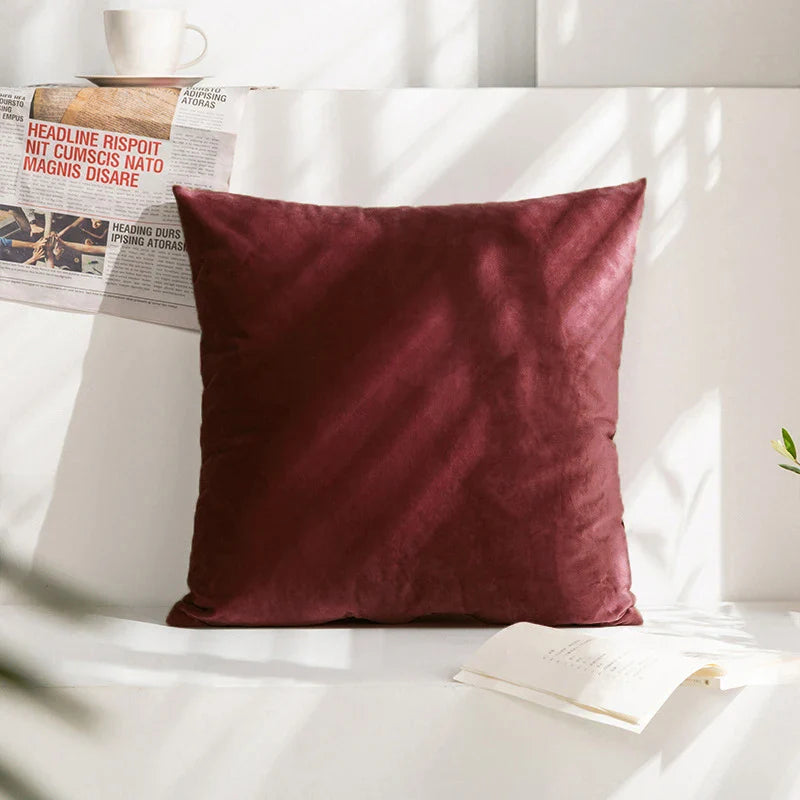 Velvet Cushion Cover for Sofa Living Room, 30x50cm Decorative Pillows by Axyaa