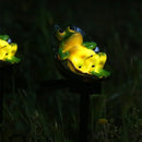 Axyaa Frog Resin Solar Outdoor Light for Garden Decor