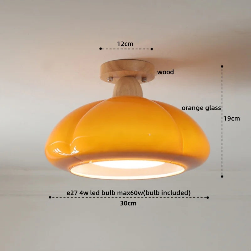 Axyaa Copper Glass LED Ceiling Lamp - Modern Indoor Lighting Fixtures