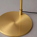 Axyaa Modern Long Arm Floor Lamp for Art Decor, Indoor Lighting and Creative Reading