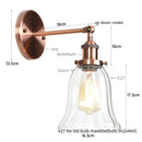 Axyaa Loft Rustic Clear Glass LED Wall Light - Industrial Style Iron Wall Lamp