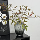 Axyaa Frosted Glass Vase - Elegant Decor for Living Room with Transparent Design