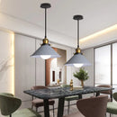 Axyaa Industrial Style Horn Pendant Light - Retro, Multi-Coloured Lamp Shades for Home & Commercial Decor