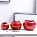 Axyaa Ceramic Persimmon Fruit Flower Pot for Home Decor
