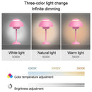 Axyaa Rechargeable Alloy Desk Lamp 3 Speed Adjustment Night Light