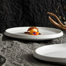 Axyaa Ceramic Dinner Plate Set - Round Tableware for Main Dishes, Steak, Sushi, and Desserts