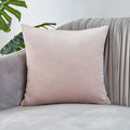 Axyaa Luxury Velvet Cushion Cover for Sofa Living Room Decor 45x45 30x50 50x50