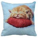 Axyaa Black Cat Bubble Pillow Cases - Premium Animal Cushion Cover for Home Decor