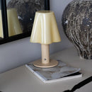 Axyaa Petal Table Lamp: Decorative Dopamine Night Light & Charging Bedside Ornament