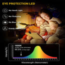 Axyaa Dual Head Book Light: Touch Control, Stepless Dimming, Eye-Friendly Reading Lamp