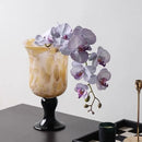 Axyaa Elegant Glass Vase for Flowers, Antique Wind Lamp, Hydroponic Décor